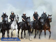 Poznańscy policjanci na koniach