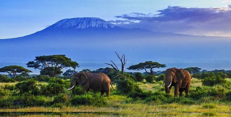 Amboseli National Park with Mount Kilimanjaro as the backdrop [Africa]