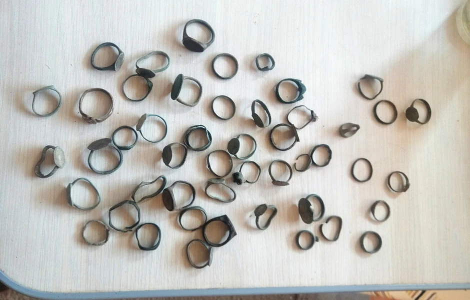 Zaplenjeno prstenje u Sremskoj Mitrovici