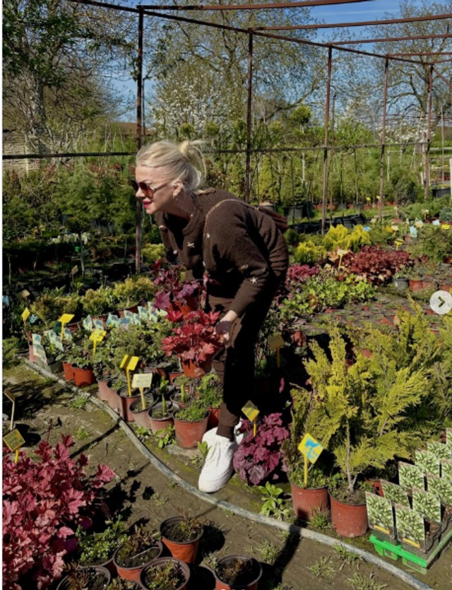 Mirjana Memedović u rasadniku