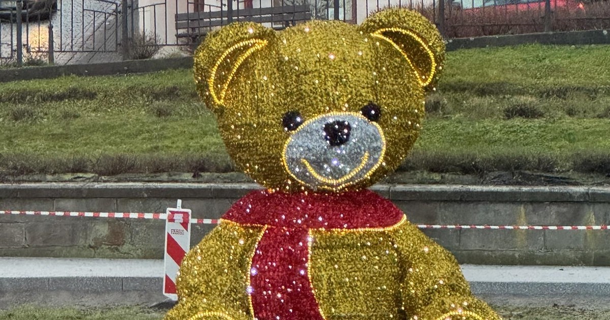 Miś na rynku wywołał burzę. W Przemyślu pokłócili się o jeden szczegół