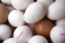 Kako najlakše da SKINETE PEČAT s belih jaja za 0 dinara: Sve već imate u kuhinji, treba vam samo jedan minut