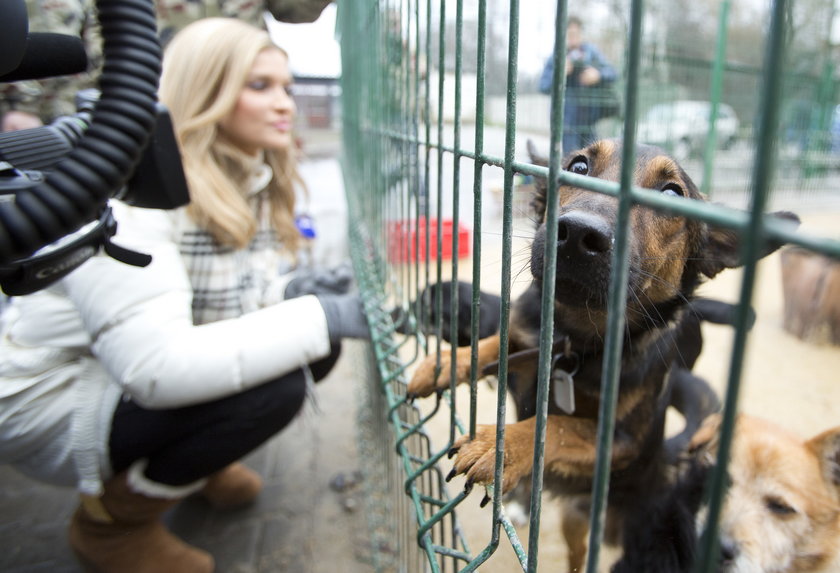 Joanna Krupa w schronisku