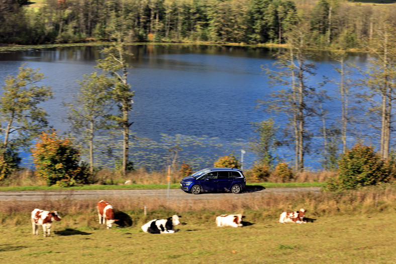 Citroën Grand C4 Picasso 2.0 BlueHDi: test dookoła Polski