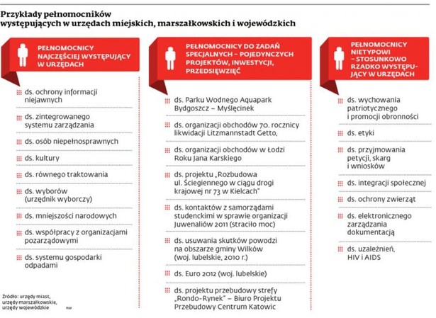 Przykłady pełnomocników występujących w urzędach miejskich, marszałkowskich i wojwódzkich