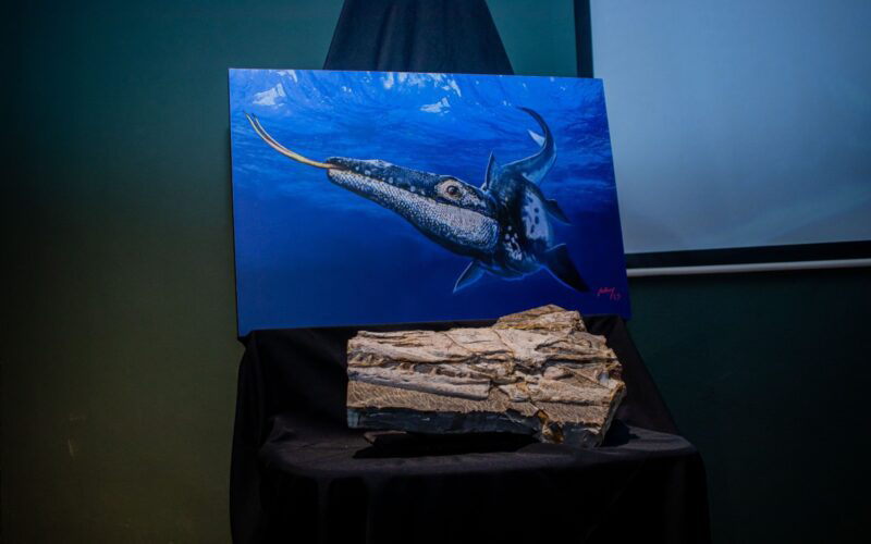 Obávaný morský predátor menom Mosasaurus.