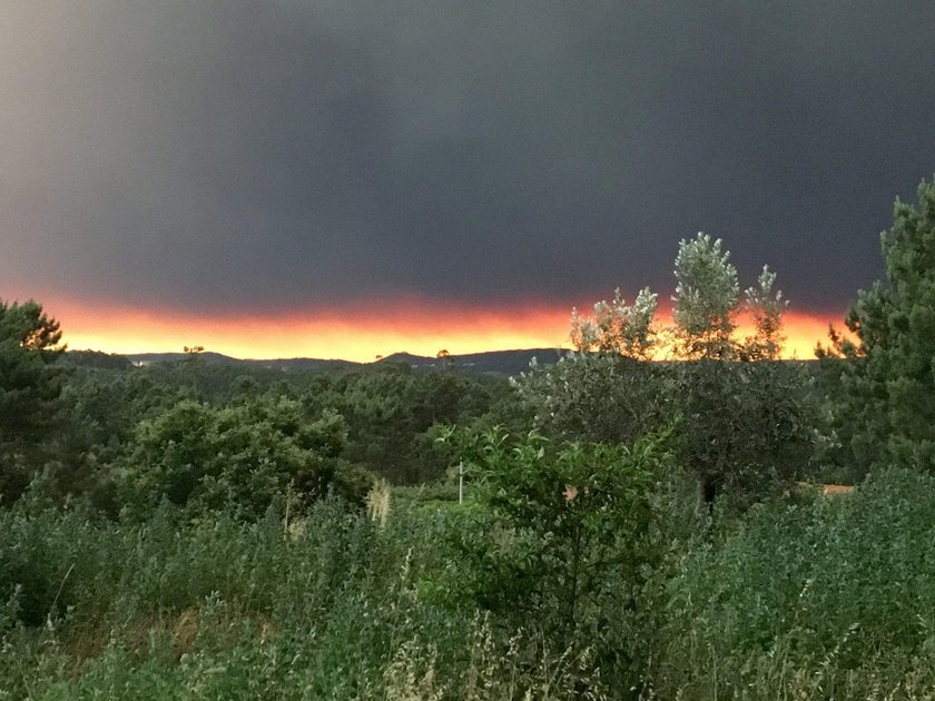 Pożar lasu w Portugalii