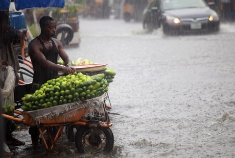 File Photo: A man arranges fruits in a wheelbarrow along a flooded street in Lagos, October 8, 2012. REUTERS/Akintunde Akinleye
