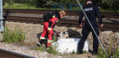 Nowy trop ws. zaginięcia 5-letniego Dawidka? Tam szukają policjanci