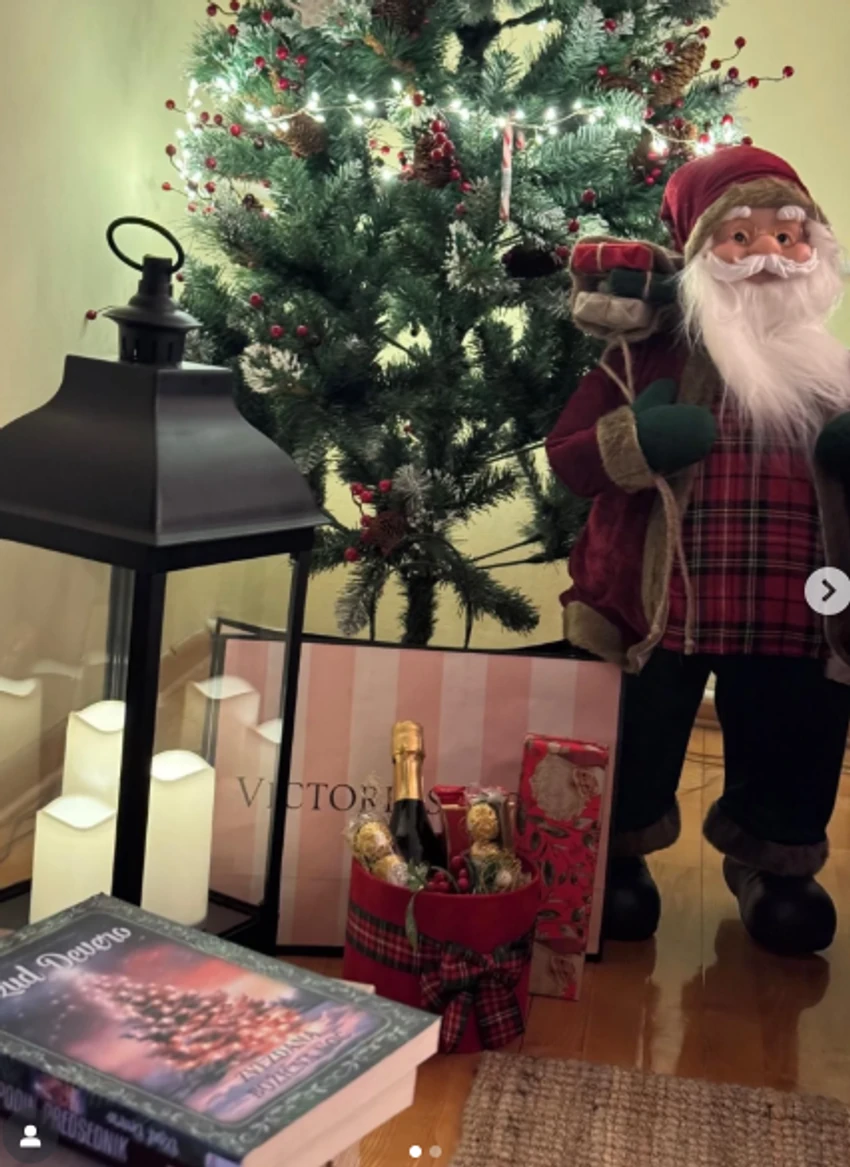 Mladen Mijatović objava