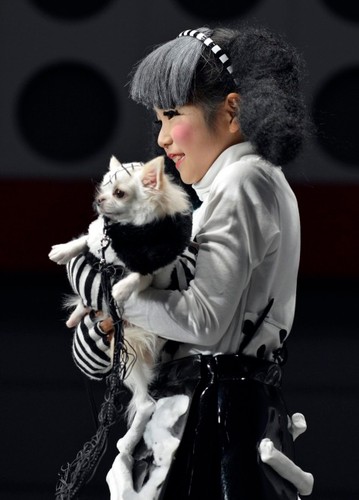 Konkurs na projekt kostiumu inspirowany filmem Tima Burtona Frankenweenie