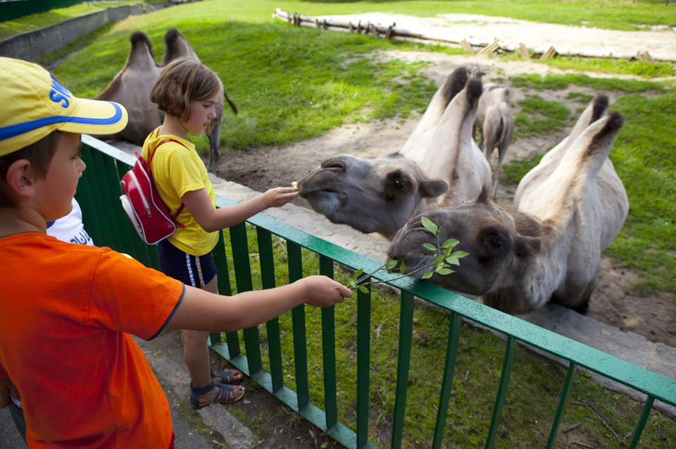 Chorzów - Park Śląski, Śląski Ogród Zoologiczny