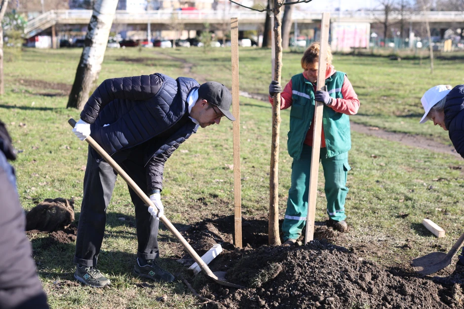 Obnavljanje Limanskog parka