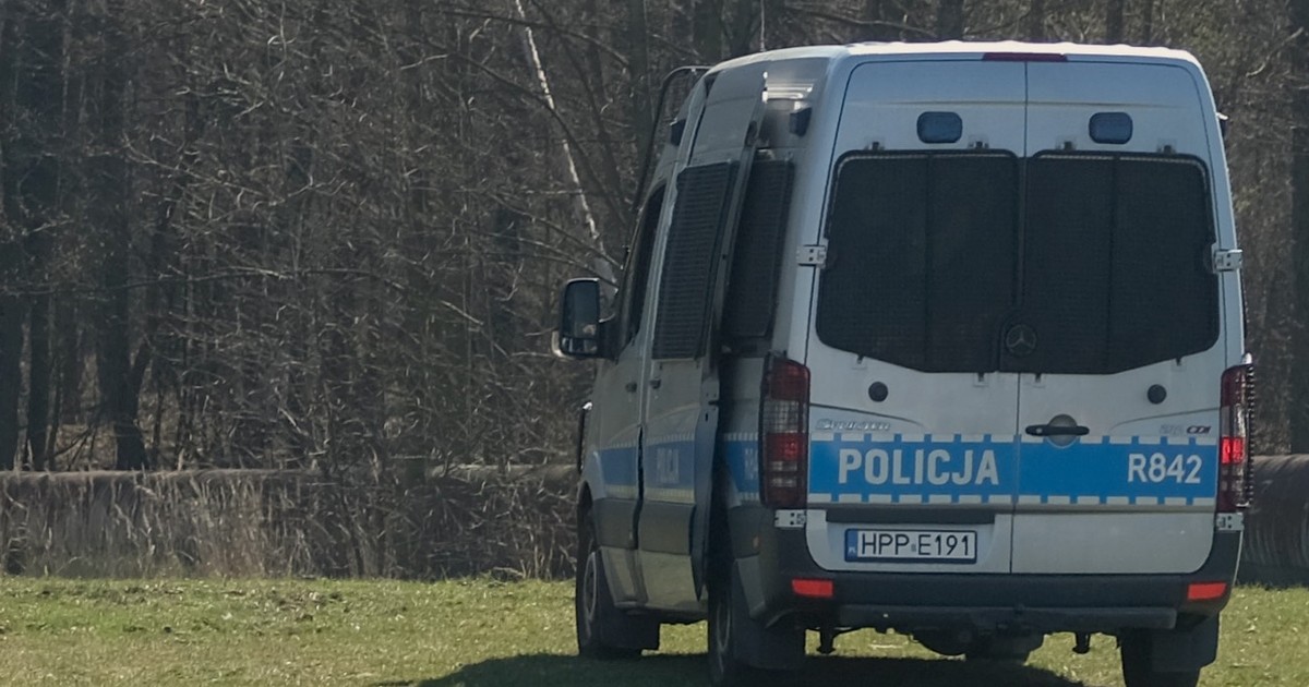 Kiedy przyjechali, leżał nieruchomo pośród liści. Jeszcze próbowali go ratować