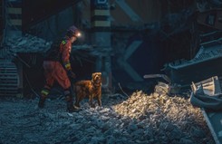 Czworonogi w akcji. Jak psy wspierają funkcjonariuszy?