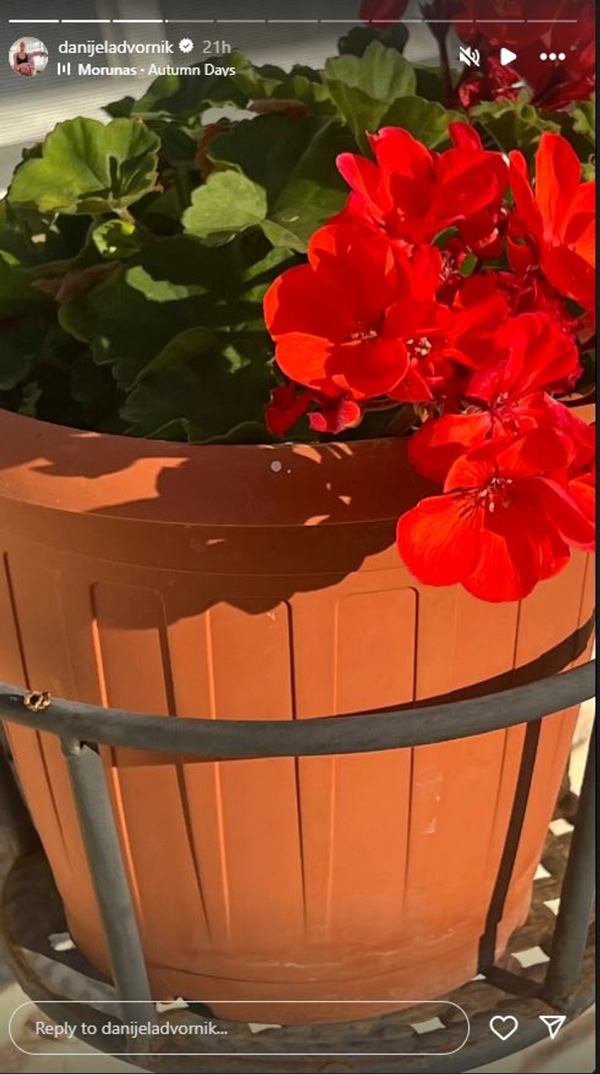 Danijela Dvornik pokazala dvorište