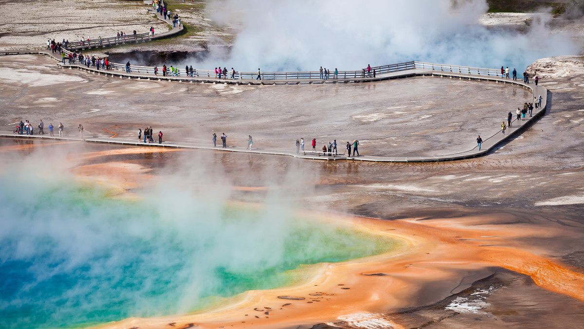 USA. Mężczyzna próbował ugotować kurczaki w gorących źródłach w Yellowstone