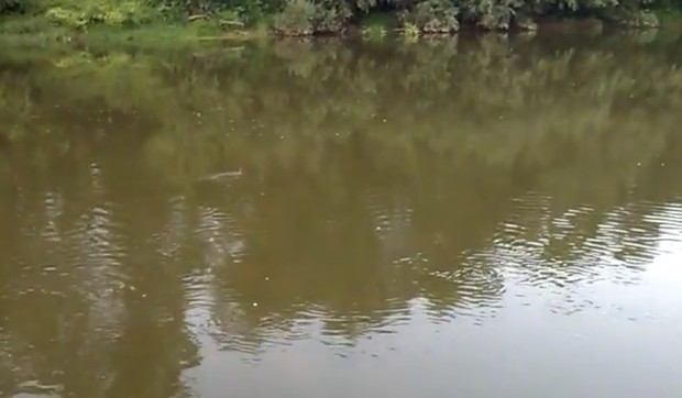 Južna morava sc youtube