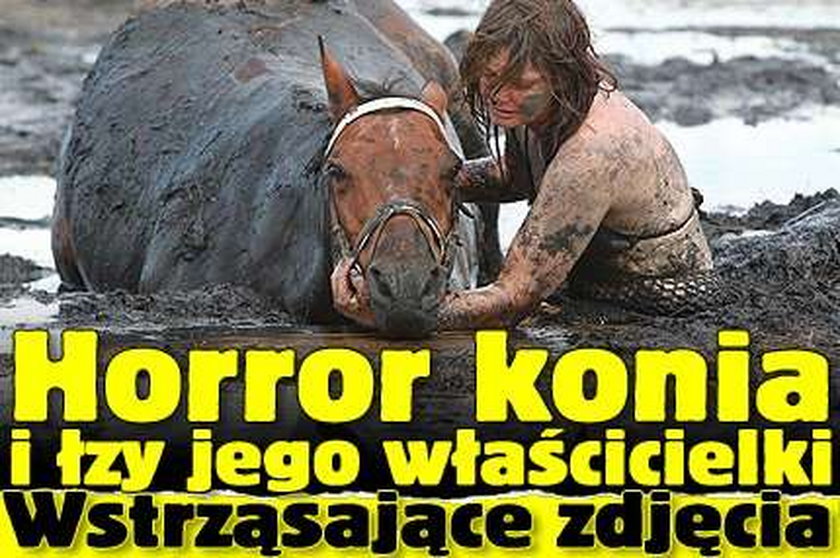 Horror konia i łzy jego właścicielki. Wstrząsające zdjęcia