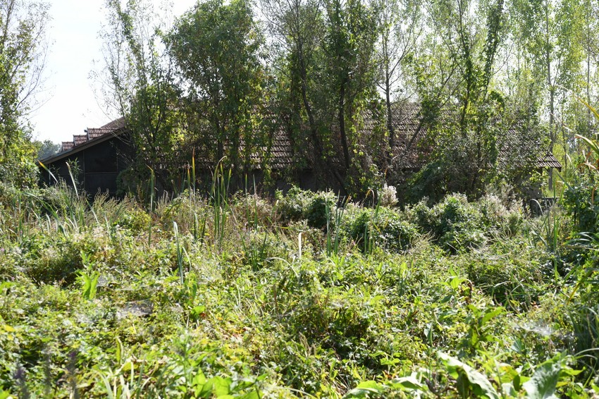 Prostor na kojem je pronađeno Lukino telo 