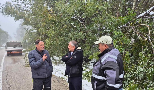 CRNA TRAVA TONČEV SNEG