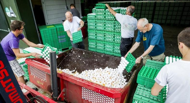 Farmers throw eggs at a poultry farm in Onstwedde, Netherlands, on August 3, 2017 after the Dutch Food and Welfare Authority (NVWA) highlighted the contamination of eggs by fipronil, a toxic insecticide outlawed from use in the production of food