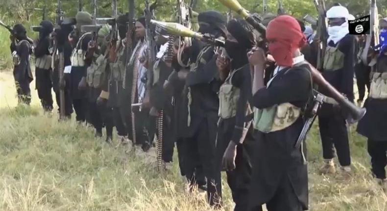 Boko Haram/ISWAP members