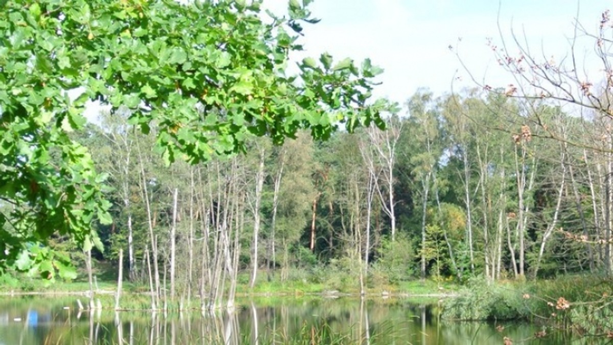 Państwowy Powiatowy Inspektor Sanitarny w Poznaniu informuje, że obowiązuje tymczasowy zakaz kąpieli w jeziorze Rusałka.