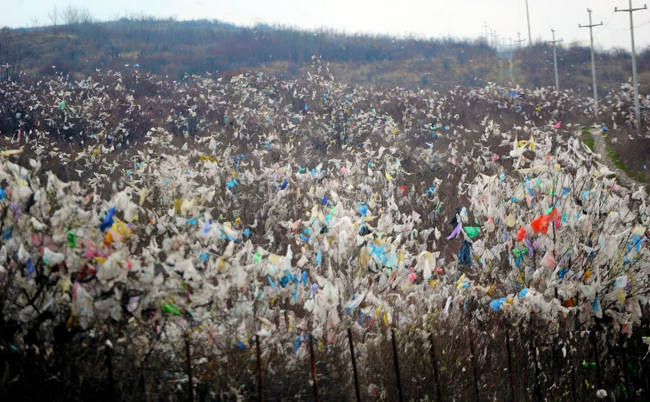 Zločin bez kazne: Preduzećima je često jeftinije da plate kaznu nego da sprovedu mere zaštite životne sredine. Za poslednje zagađenje u Boru kazna je bila 400.000 dinara, pa i ne čudi što zagađivači nastavljaju po starom