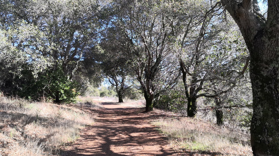Ścieżka Aquinas Trail