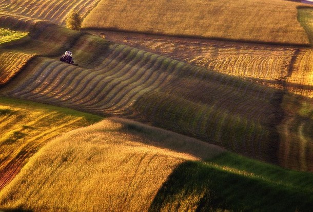 konkurs foto wrzesien 4