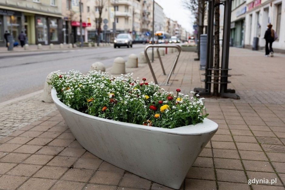 Kwietne łódki. W Gdyni stanęło 100 donic przypominających łodzie!