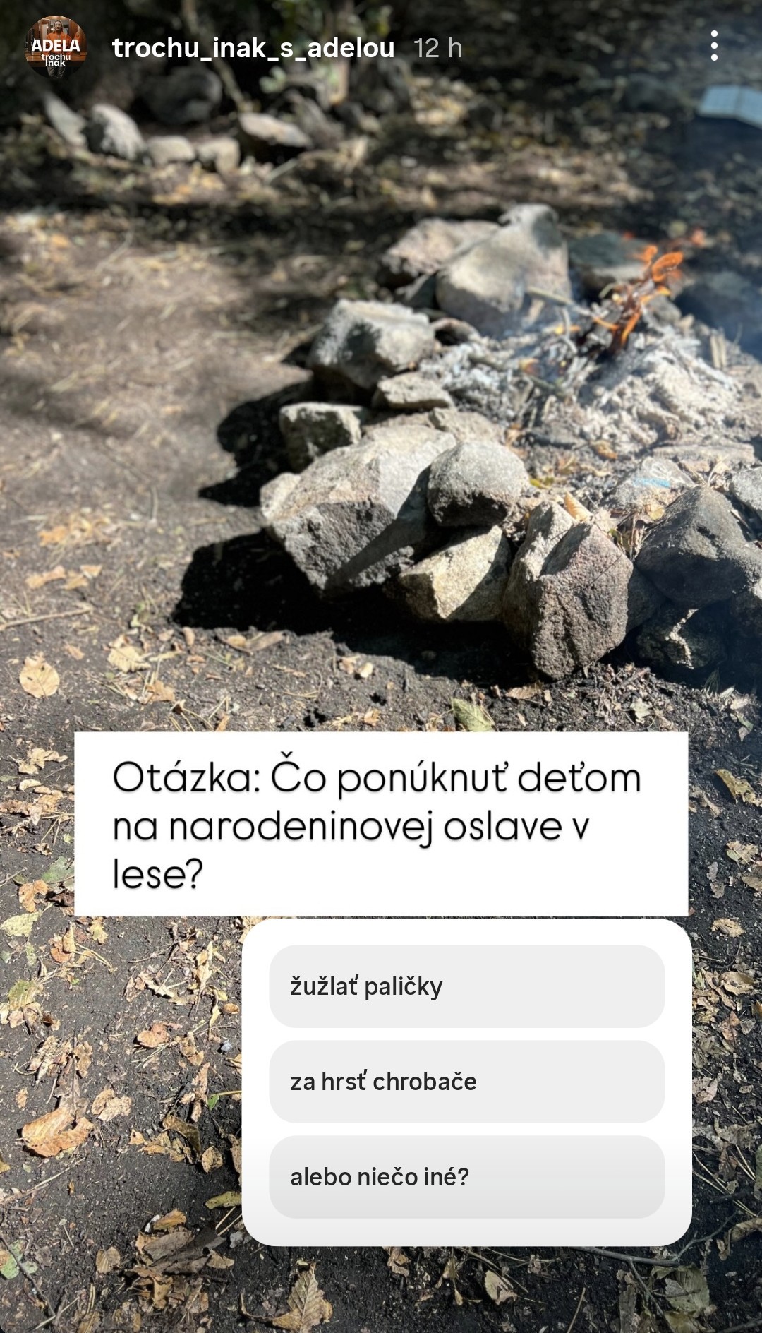 Adela Vinczeová plánuje narodeninovú oslavu. 