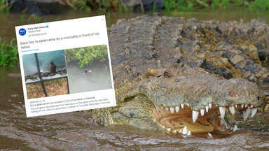 Ojciec widział, jak krokodyl porywa jego dziecko. "Wynurzył się z okaleczonym ciałem"