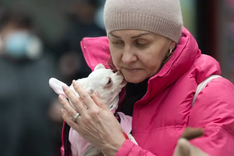 Uchodźcy z Ukrainy ze swoimi zwierzętami w Polsce