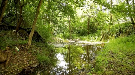 Lepa Lukić, emisija "Metar moga sela"