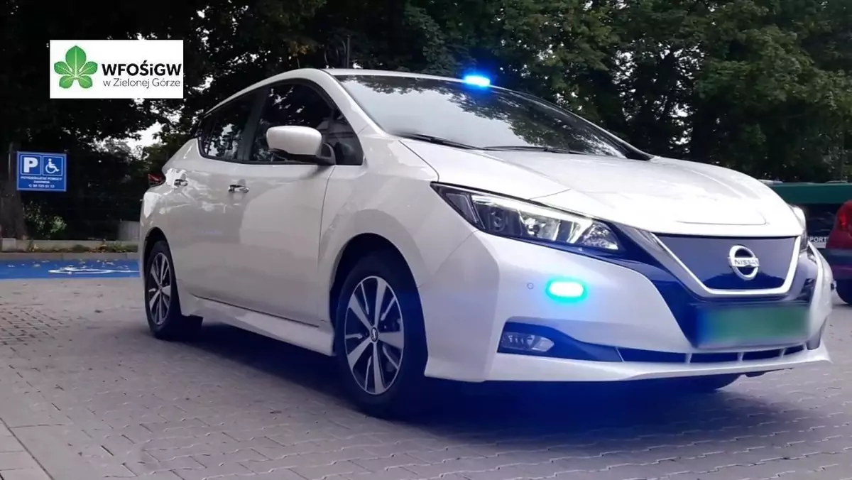 Nissan Leaf GITD