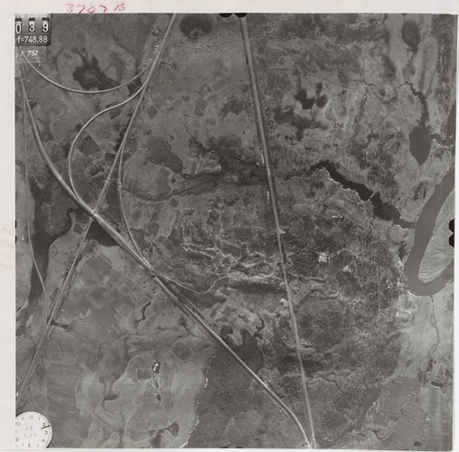 Las katyński. Fot. National Archives