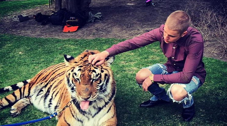 Bieber jól kijött az állattal /Fotó: Instagram