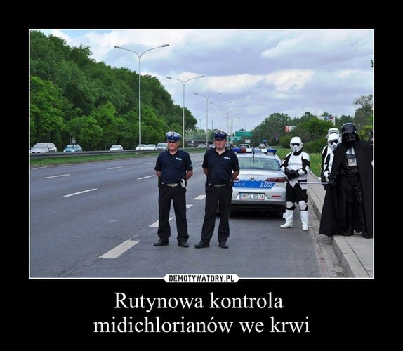 Kto zakłóca spokój Tuska i dlaczego Kaczyński nie chce Niemców? Najlepsze MEMY tygodnia