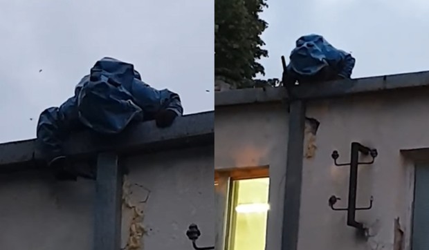 stršljeni u surduličkoj bolnici