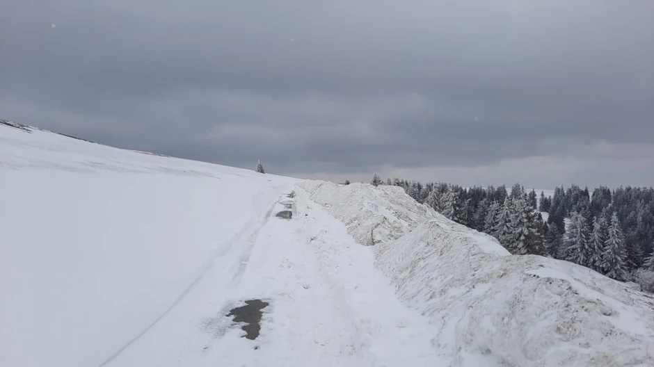 Sneg u aprilu na Goliji