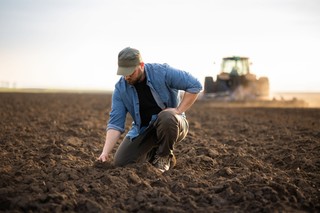 Umowa handlowa z Ukrainą wygasa w czerwcu. Rolnicy się niepokoją, a KE czeka na... wybory prezydenckie w Polsce