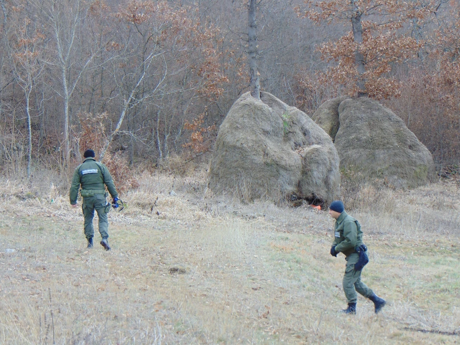 Policijska potraga se proširila ka Zaječaru