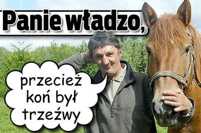 Przecież koń był trzeźwy..