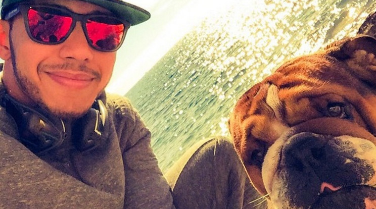 Hamilton mindenhová magával viszi kutyáit/Fotó: Instagram