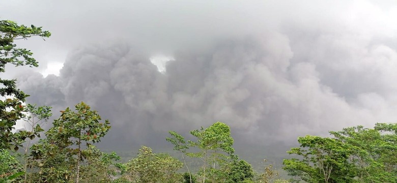 Erupcja wulkanu Semeru na Jawie. Indonezja ewakuuje ludność