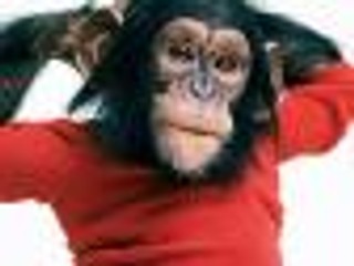 'Projekt Nim' - recenzja