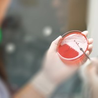 Miért ellenállóak a baktériumok a még forgalomba sem került antibiotikumokkal szemben?