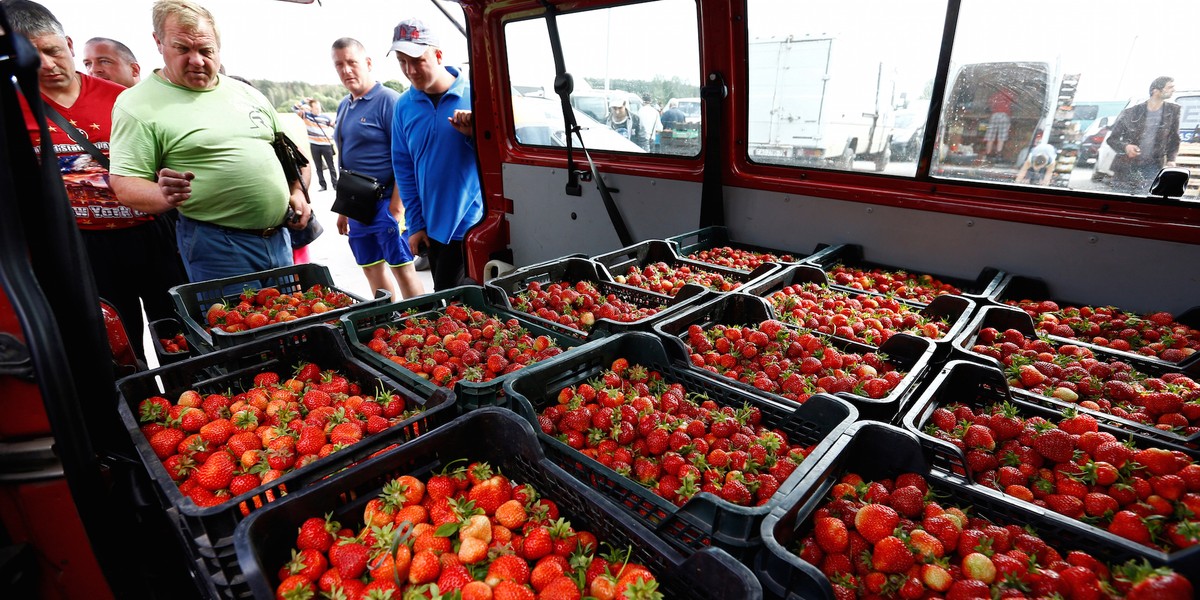 Wholesalers look at strawberries prepared for sale on a wholesale market in the village of Dvarets, Belarus June 14, 2016.